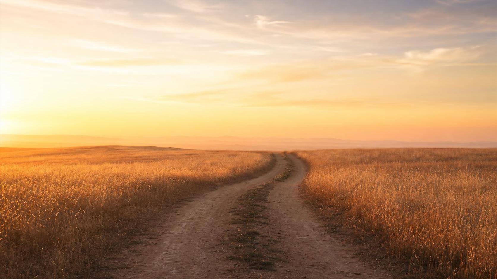 A single path through an open field at golden hour